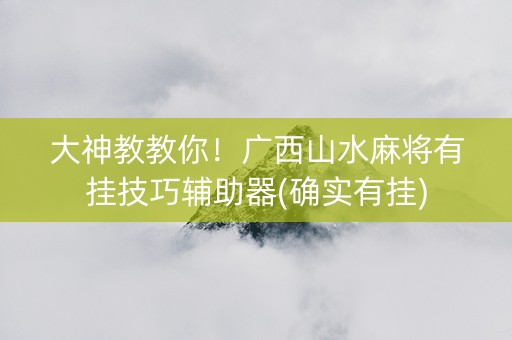 大神教教你！广西山水麻将有挂技巧辅助器(确实有挂)