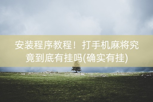 安装程序教程！打手机麻将究竟到底有挂吗(确实有挂)
