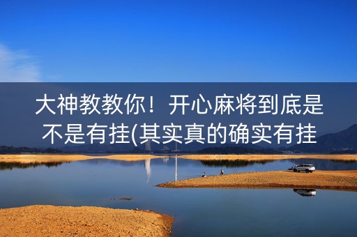 大神教教你！开心麻将到底是不是有挂(其实真的确实有挂)