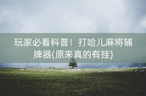 玩家必看科普！打哈儿麻将辅牌器(原来真的有挂)