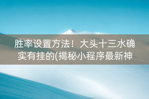 胜率设置方法！大头十三水确实有挂的(揭秘小程序最新神器下载)