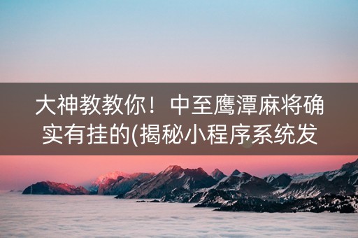 大神教教你！中至鹰潭麻将确实有挂的(揭秘小程序系统发好牌)