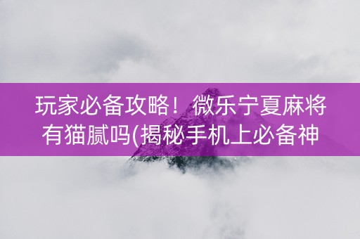 玩家必备攻略！微乐宁夏麻将有猫腻吗(揭秘手机上必备神器)