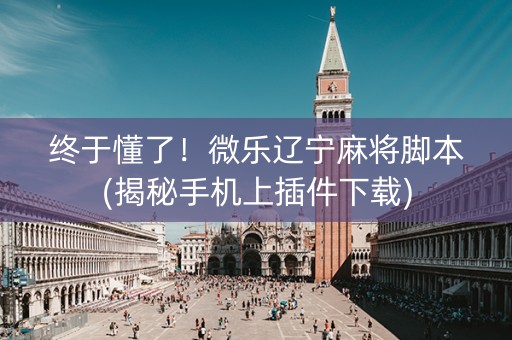 终于懂了！微乐辽宁麻将脚本(揭秘手机上插件下载)