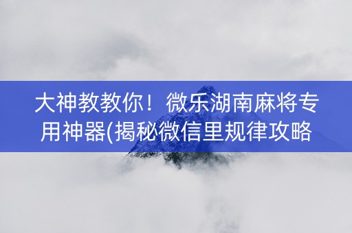 大神教教你！微乐湖南麻将专用神器(揭秘微信里规律攻略)