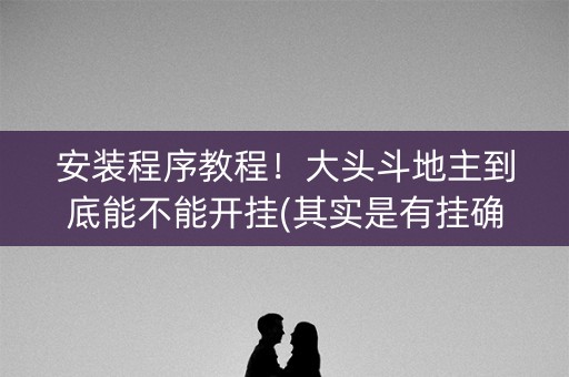 安装程序教程！大头斗地主到底能不能开挂(其实是有挂确实有挂)