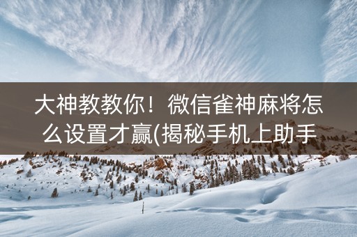大神教教你！微信雀神麻将怎么设置才赢(揭秘手机上助手软件)