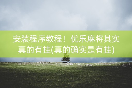 安装程序教程！优乐麻将其实真的有挂(真的确实是有挂)