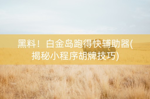 黑料！白金岛跑得快辅助器(揭秘小程序胡牌技巧)