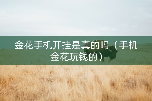 金花手机开挂是真的吗（手机金花玩钱的）