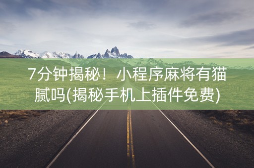 7分钟揭秘！小程序麻将有猫腻吗(揭秘手机上插件免费)