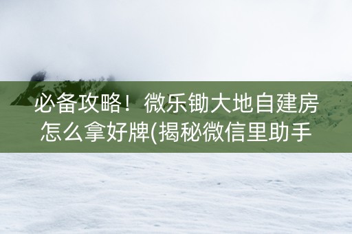 必备攻略！微乐锄大地自建房怎么拿好牌(揭秘微信里助手软件)