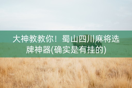 大神教教你！蜀山四川麻将选牌神器(确实是有挂的)