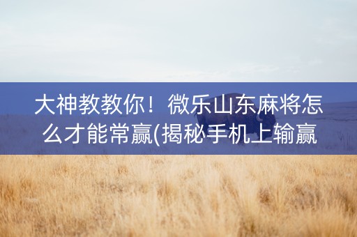 大神教教你！微乐山东麻将怎么才能常赢(揭秘手机上输赢规律)