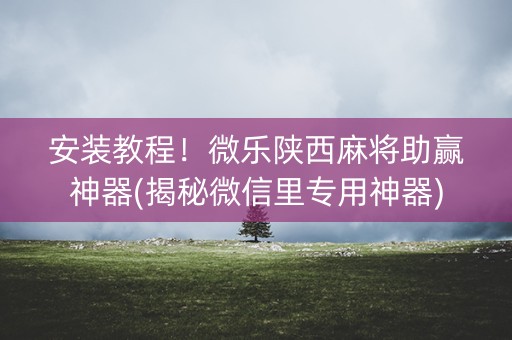 安装教程！微乐陕西麻将助赢神器(揭秘微信里专用神器)