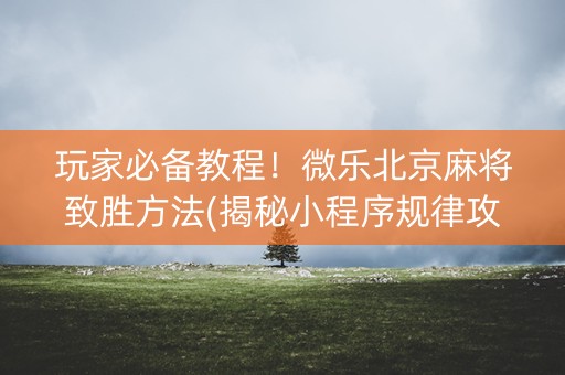 玩家必备教程！微乐北京麻将致胜方法(揭秘小程序规律攻略)