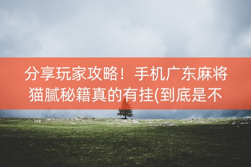 分享玩家攻略！手机广东麻将猫腻秘籍真的有挂(到底是不是有挂)