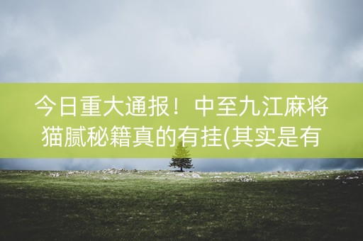 今日重大通报！中至九江麻将猫腻秘籍真的有挂(其实是有挂的)