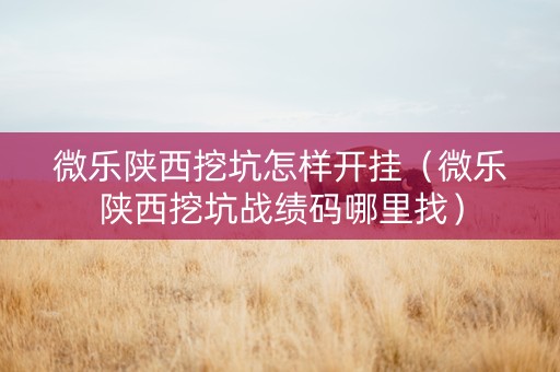 微乐陕西挖坑怎样开挂（微乐陕西挖坑战绩码哪里找）