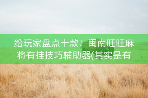 给玩家盘点十款！闽南旺旺麻将有挂技巧辅助器(其实是有挂的)