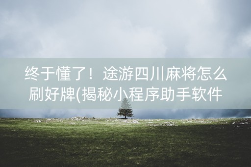 终于懂了！途游四川麻将怎么刷好牌(揭秘小程序助手软件)