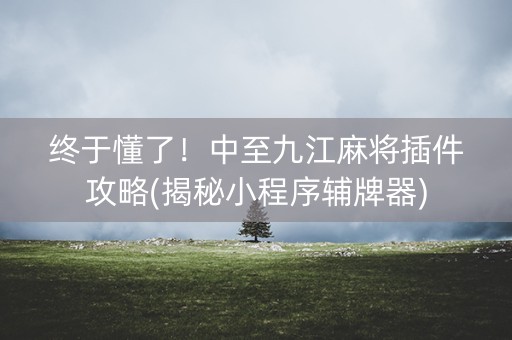 终于懂了！中至九江麻将插件攻略(揭秘小程序辅牌器)