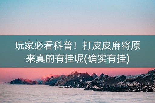 玩家必看科普！打皮皮麻将原来真的有挂呢(确实有挂)