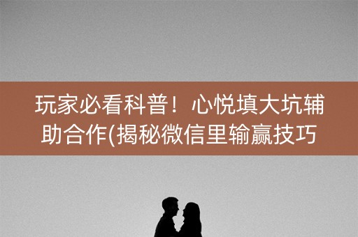 玩家必看科普！心悦填大坑辅助合作(揭秘微信里输赢技巧)