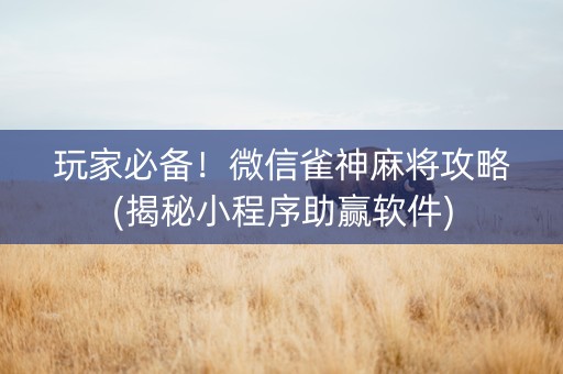 玩家必备！微信雀神麻将攻略(揭秘小程序助赢软件)
