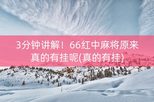 3分钟讲解！66红中麻将原来真的有挂呢(真的有挂)