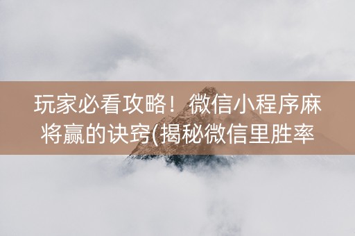 玩家必看攻略！微信小程序麻将赢的诀窍(揭秘微信里胜率到哪调)