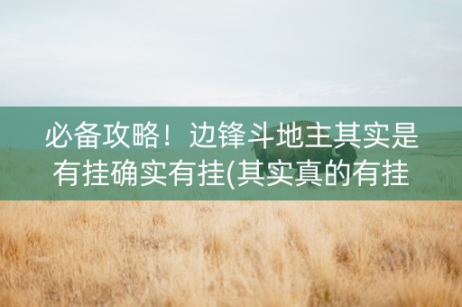 必备攻略！边锋斗地主其实是有挂确实有挂(其实真的有挂)