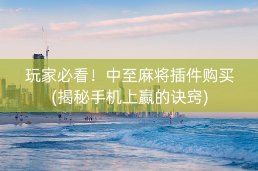 玩家必看！中至麻将插件购买(揭秘手机上赢的诀窍)
