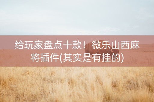 给玩家盘点十款！微乐山西麻将插件(其实是有挂的)