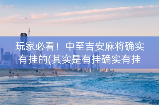 玩家必看！中至吉安麻将确实有挂的(其实是有挂确实有挂)