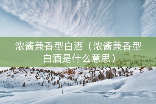 浓酱兼香型白酒（浓酱兼香型白酒是什么意思）