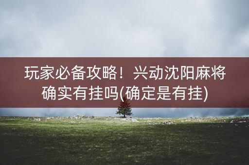 玩家必备攻略！兴动沈阳麻将确实有挂吗(确定是有挂)