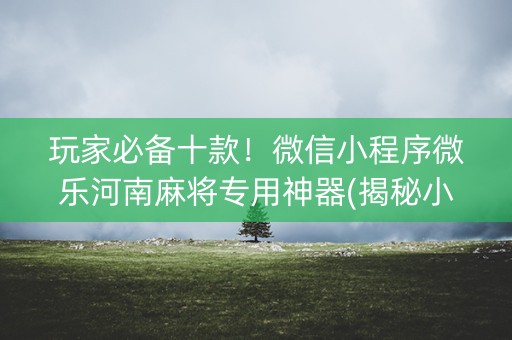 玩家必备十款！微信小程序微乐河南麻将专用神器(揭秘小程序助攻神器)