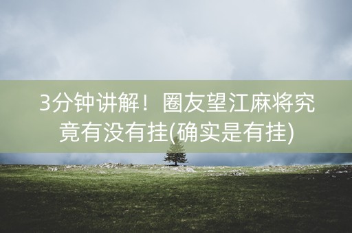 3分钟讲解！圈友望江麻将究竟有没有挂(确实是有挂)