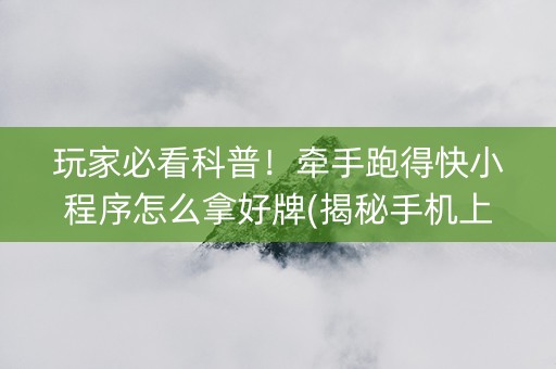 玩家必看科普！牵手跑得快小程序怎么拿好牌(揭秘手机上助攻神器)