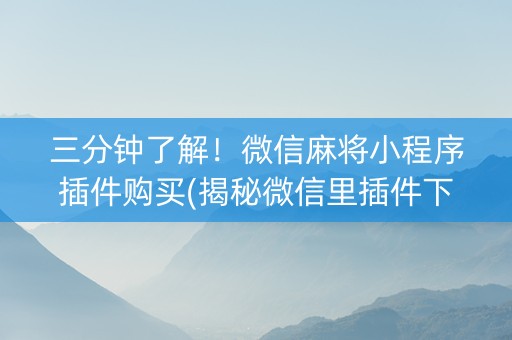 三分钟了解！微信麻将小程序插件购买(揭秘微信里插件下载)