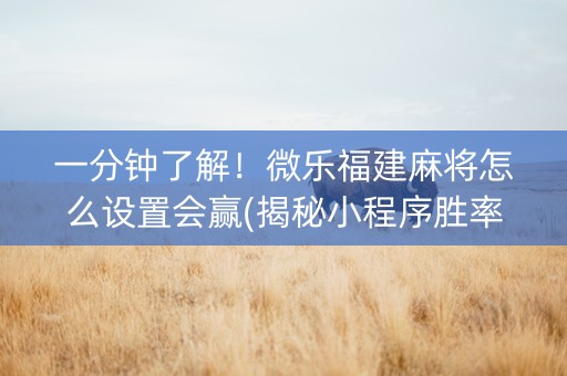 一分钟了解！微乐福建麻将怎么设置会赢(揭秘小程序胜率到哪调)