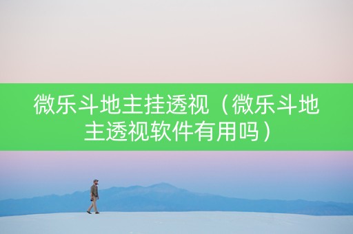 微乐斗地主挂透视（微乐斗地主透视软件有用吗）