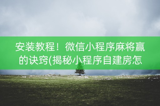 安装教程！微信小程序麻将赢的诀窍(揭秘小程序自建房怎么赢)