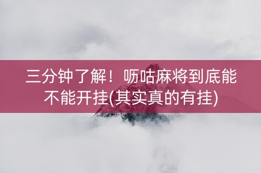 三分钟了解！呖咕麻将到底能不能开挂(其实真的有挂)