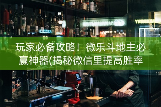 玩家必备攻略！微乐斗地主必赢神器(揭秘微信里提高胜率)
