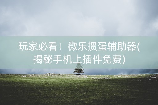 玩家必看！微乐掼蛋辅助器(揭秘手机上插件免费)