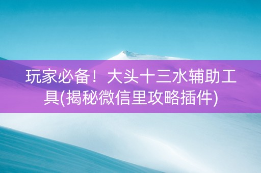 玩家必备！大头十三水辅助工具(揭秘微信里攻略插件)