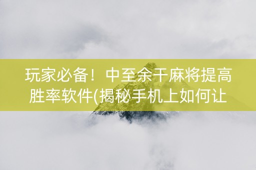 玩家必备！中至余干麻将提高胜率软件(揭秘手机上如何让牌变好)