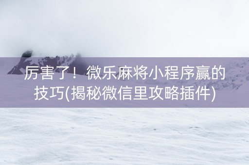 厉害了！微乐麻将小程序赢的技巧(揭秘微信里攻略插件)
